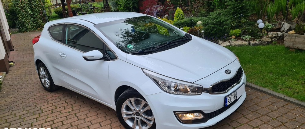 Kia Pro_cee'd cena 33900 przebieg: 190000, rok produkcji 2013 z Kietrz małe 781